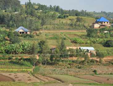 Nederlandse zadenbedrijven mikken op Afrika
