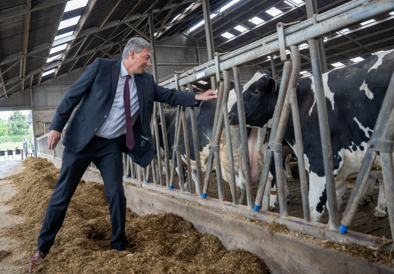 Jambon op melkveebedrijf in Essen3