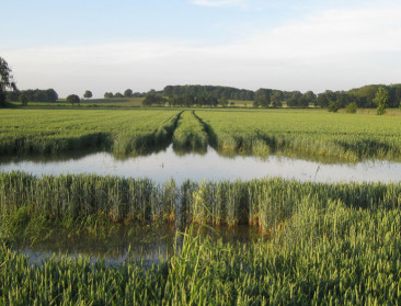 Brede weersverzekering: zinkend schip of reddingsboei nu Rampenfonds opgedoekt wordt?