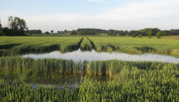 Brede weersverzekering: zinkend schip of reddingsboei nu Rampenfonds opgedoekt wordt?