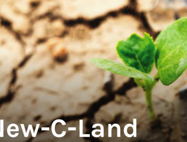 Interreg-project wil ongebruikte gronden beplanten