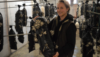 De toekomst van plastic groeit in de Brusselse ondergrond