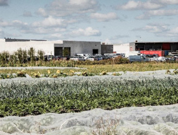 "Meer samenwerking en steun nodig voor stadslandbouw"