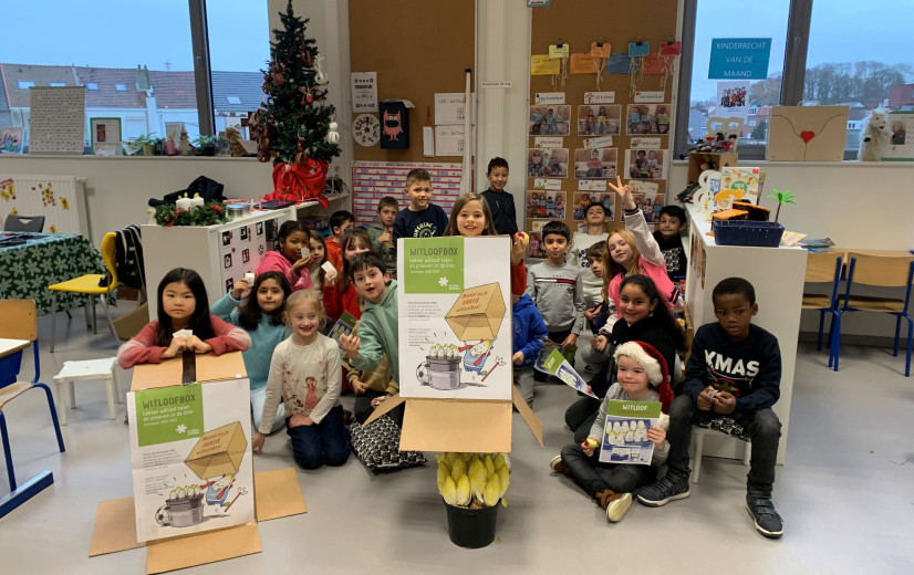 Witloofbox viert 15de editie: kinderen leren streekproduct zelf telen