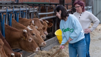 Zorgboerderijen kregen vorig jaar een record aantal aanmeldingen