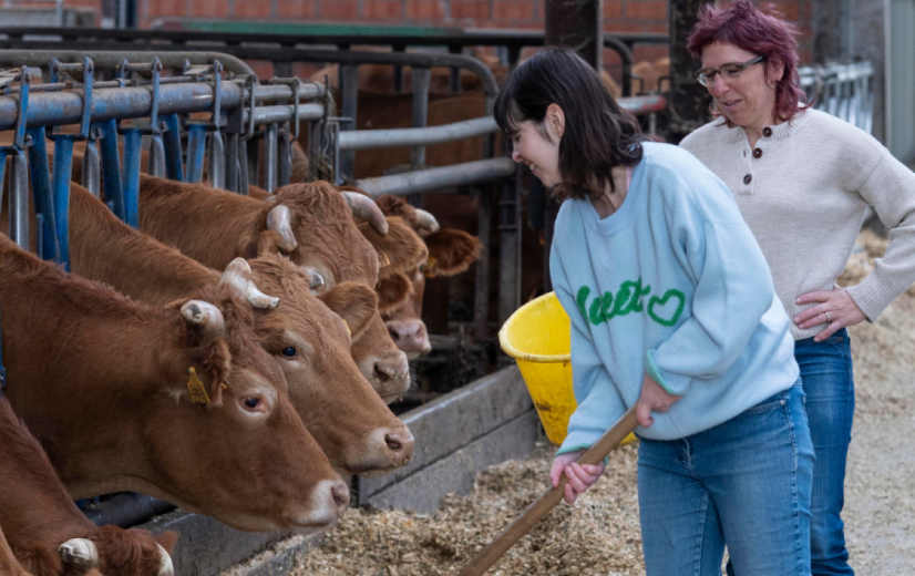 Zorgboerderijen kregen vorig jaar een recordaantal aanmeldingen