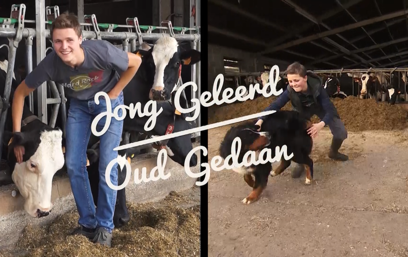 Jong Geleerd, Oud Gedaan: Ruben