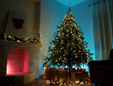 Kerstboom recycling: composteren, aan alpaca’s voederen of zelf opeten?