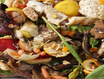 Groene stroom uit overrijpe bananen, yoghurt en mest