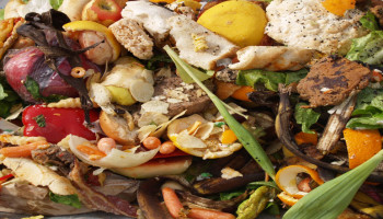 Worden onze antibiotica minder doeltreffend door voedselafval?