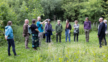 20 jaar Regionaal Landschap Brabantse Kouters: “Meer dan 400.000 bomen en struiken aangeplant”
