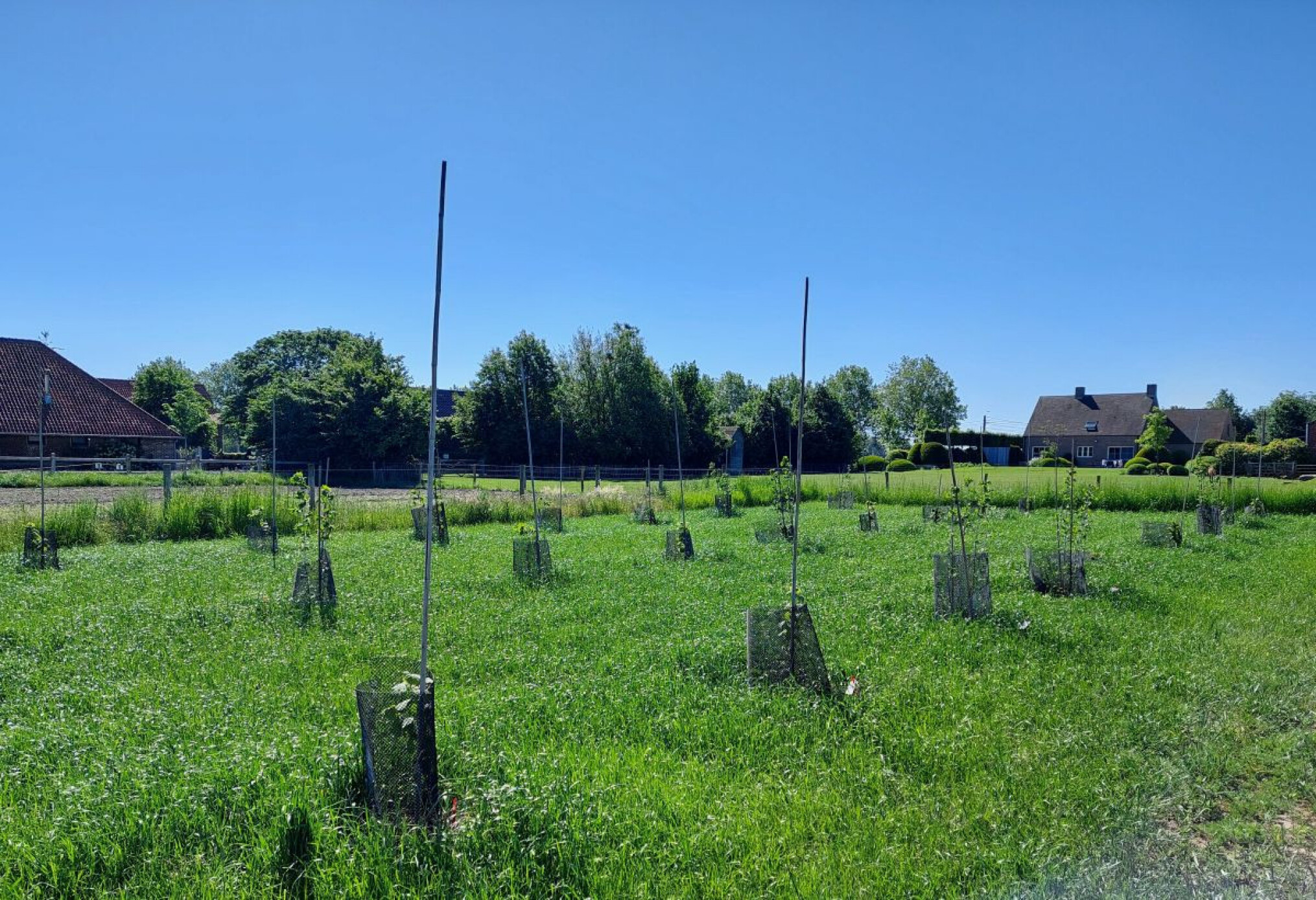 Hazelnoot_ copy Inagro
