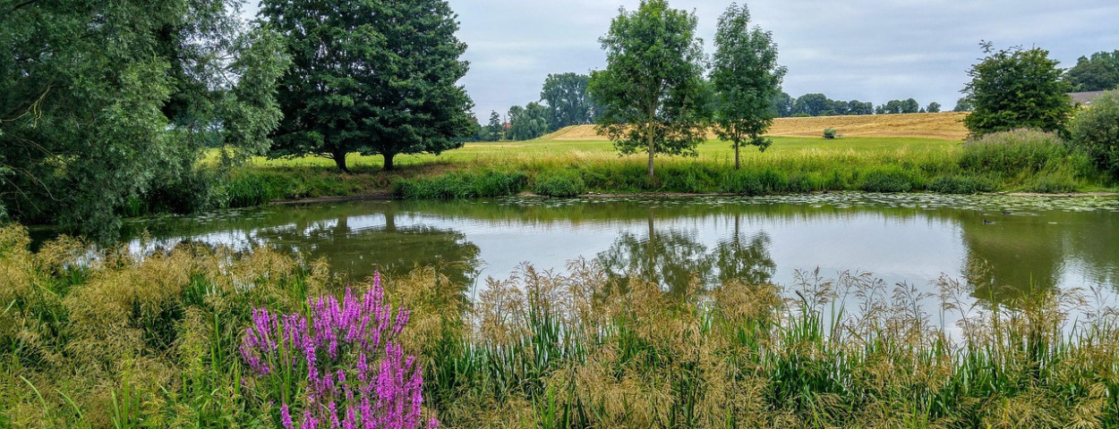 natuurgebied