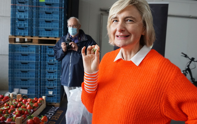 Crevits lanceert plan om platteland niet langer te negeren in beleid