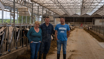 Vlaamse melkveehouders vinden landbouwrust in Wallonië: “Enige bezwaar kwam van een Vlaming”