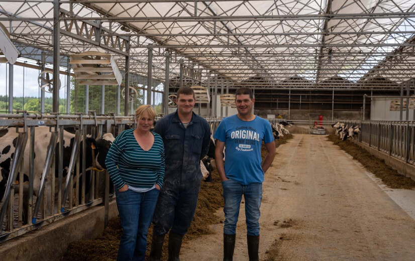 Vlaamse melkveehouders vinden landbouwrust in Wallonië: “Enige bezwaar kwam van een Vlaming”