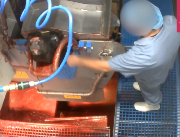 Slachthuis in Hasselt hervat met aangepaste procedures