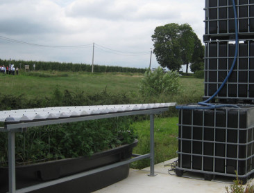 Bayer: "Door innovatie stappen zetten in verduurzaming"