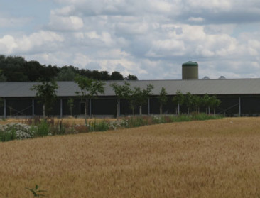 Landbouwers verkennen agroforestry tijdens Agriflanders