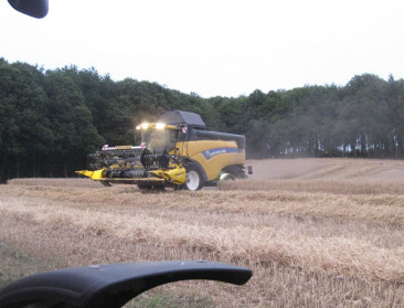 Meer dan 6 tot 8 ton tarwe zat er dit jaar niet in