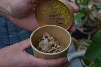 Roofwants