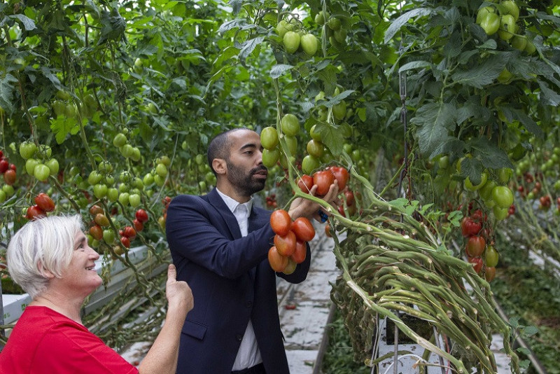 Tomaten_Sammy Mahdi_Boschkant  (8)
