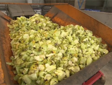 Hoever staat Vlaanderen met indammen voedselverlies?