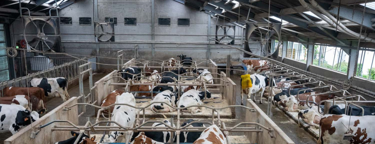 Ventilatoren  hooibeekhoeve