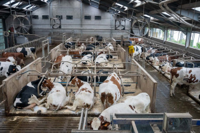 Ventilatoren  hooibeekhoeve