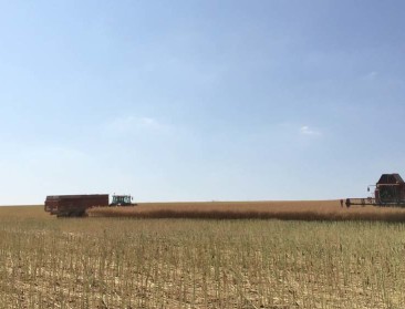 Frankrijk kreunt onder droogte