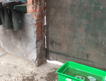 DGZ gaat terug op zoek naar meest bioveilige veehouders