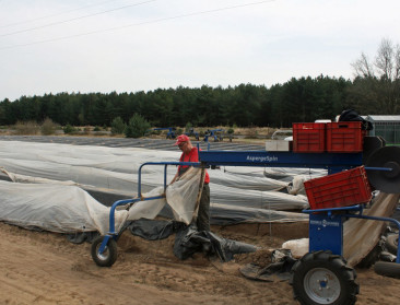 Vlaanderen versterkt Limburgse groente- en fruitsector