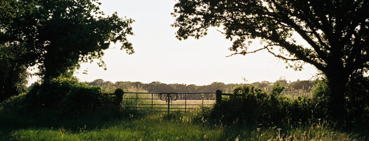 akker natuur grond_ unsplash