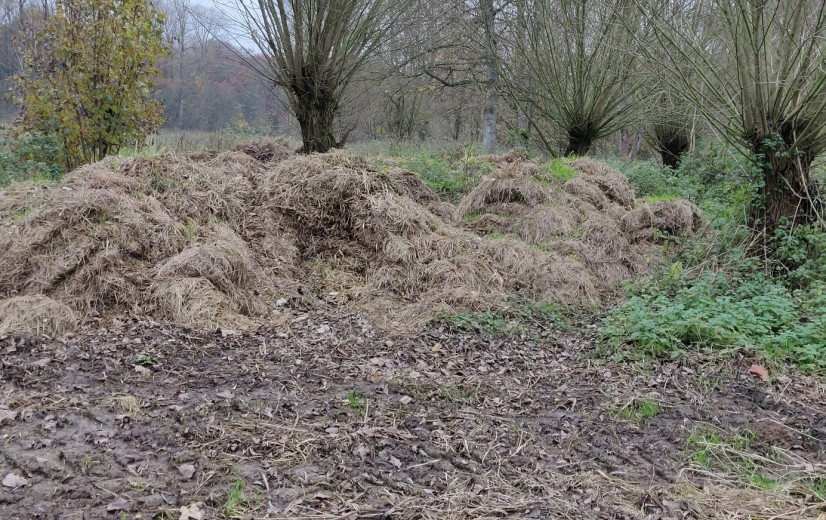 Is er wel een uitweg uit het stikstofdebacle?