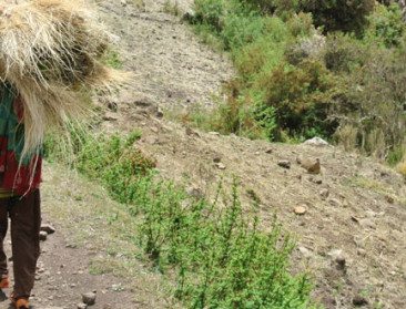 Vlaams bedrijf zoekt manager voor Afrikaanse boerderij