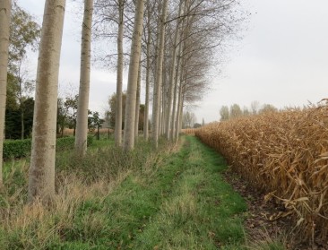 Open Vld pleit voor beleid rond boslandbouw