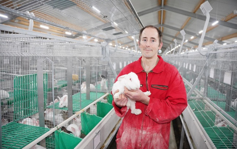 Omschakelaar enige nieuwkomer in uitdovende konijnenhouderij
