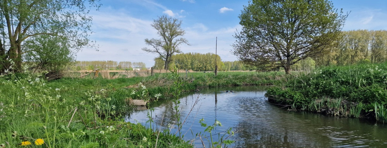 grachtbeekwaterloopDenderbelle