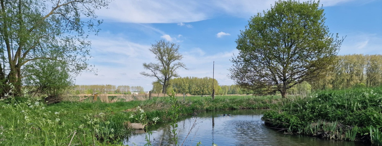 grachtbeekwaterloopDenderbelle