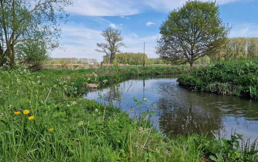 Dalende waterpeilen en lage grondwaterstanden door droge maand mei