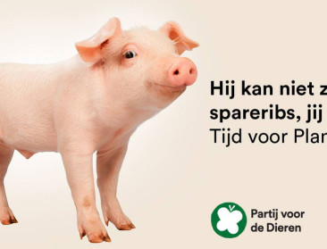 "Dierenwelzijn wordt een belangrijk politiek thema"