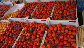 Aardbeienprijzen na recordhoogtes sterk gedaald