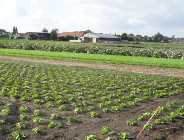 Milieubeweging stapt uit het overleg rond mestactieplan