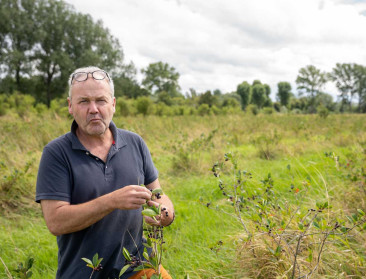 Biologische kleinfruitteler verliest 2,5 hectare ondanks “mondelinge afspraken” met VLM en ANB