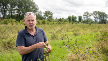 Biologische kleinfruitteler verliest 2,5 hectare ondanks “mondelinge afspraken” met VLM en ANB