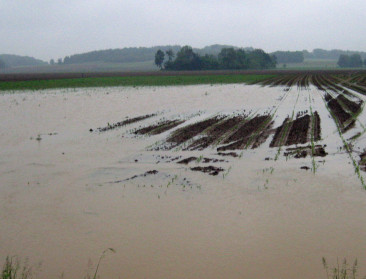 Zondvloed zorgt voor schade op recent gezaaide akkers