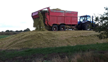 Rundveehouders hamsteren door mogelijk mindere ruwvoerproductie