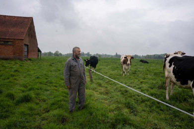 Werner De Bie en Puihoek in Ekeren