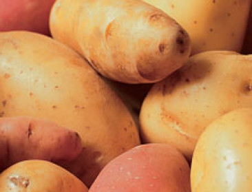 Duitse aardappelbedrijven beboet voor prijsafspraken