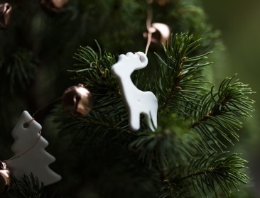 Kerstbomen zijn booming business